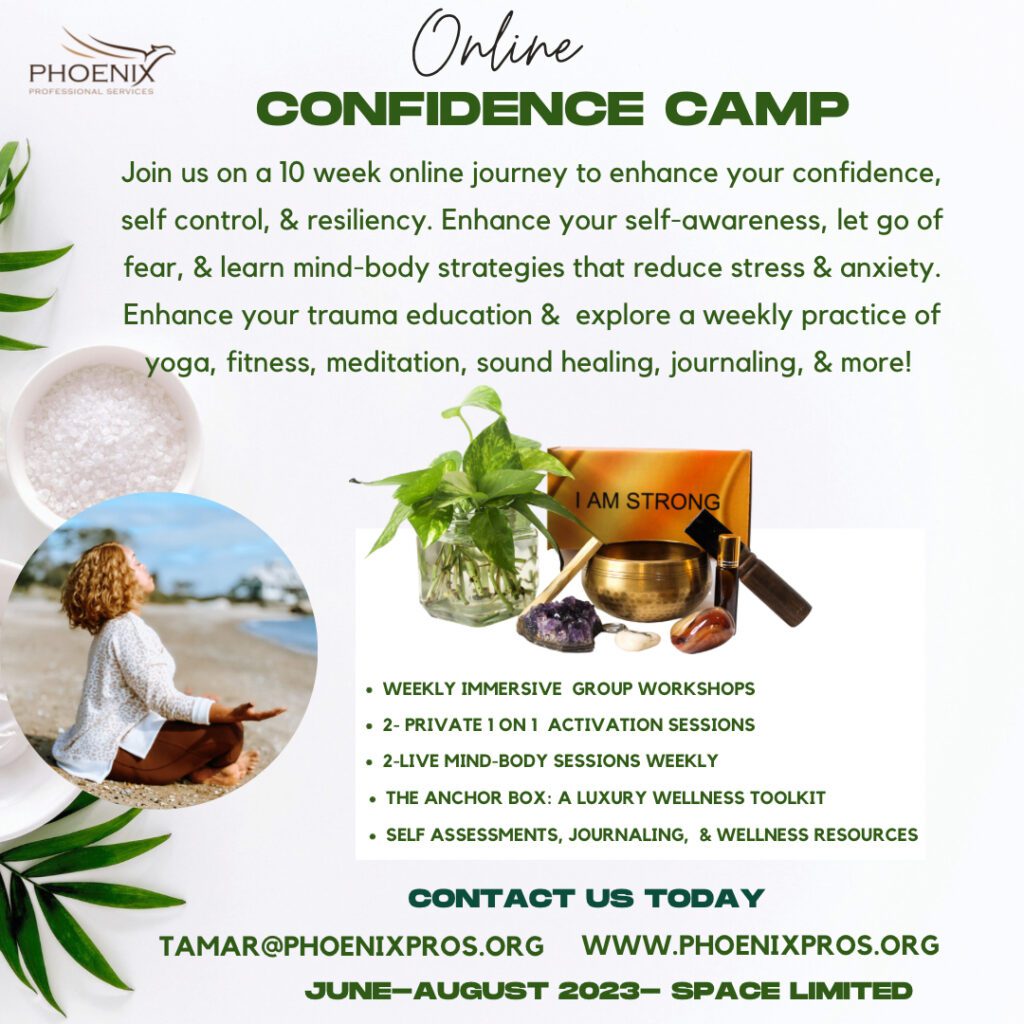 Online Confidence Camp